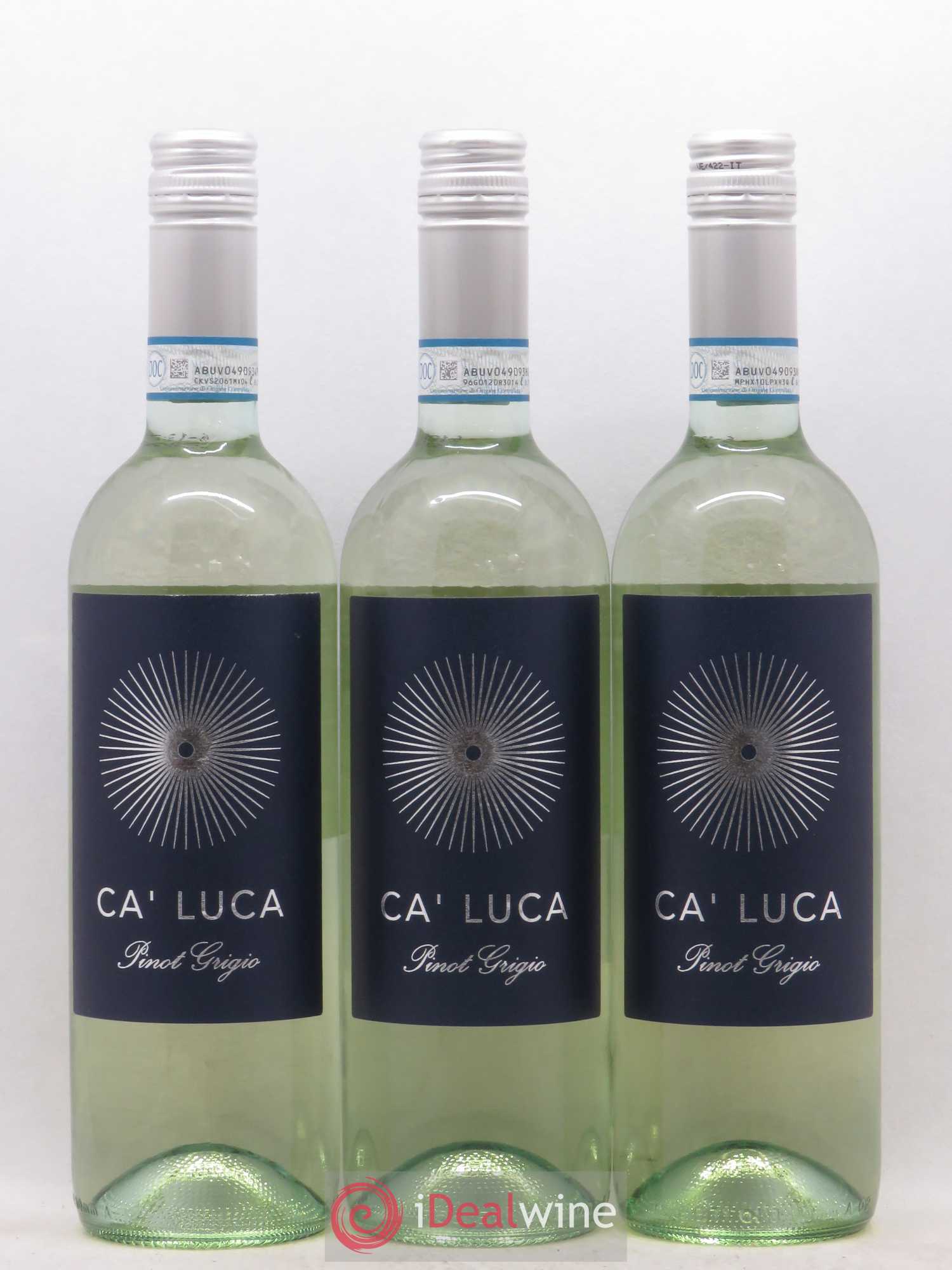 Italie Ca'Luca Pinot Grigio (no reserve) 2019 - Lot of 12 bottles - 1