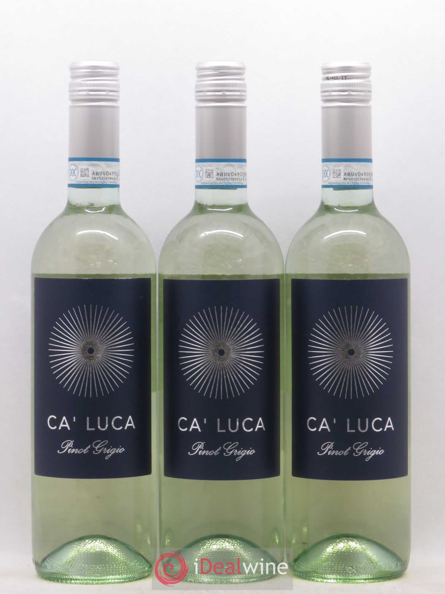 Italie Ca'Luca Pinot Grigio (no reserve) 2019 - Lot of 12 bottles - 5