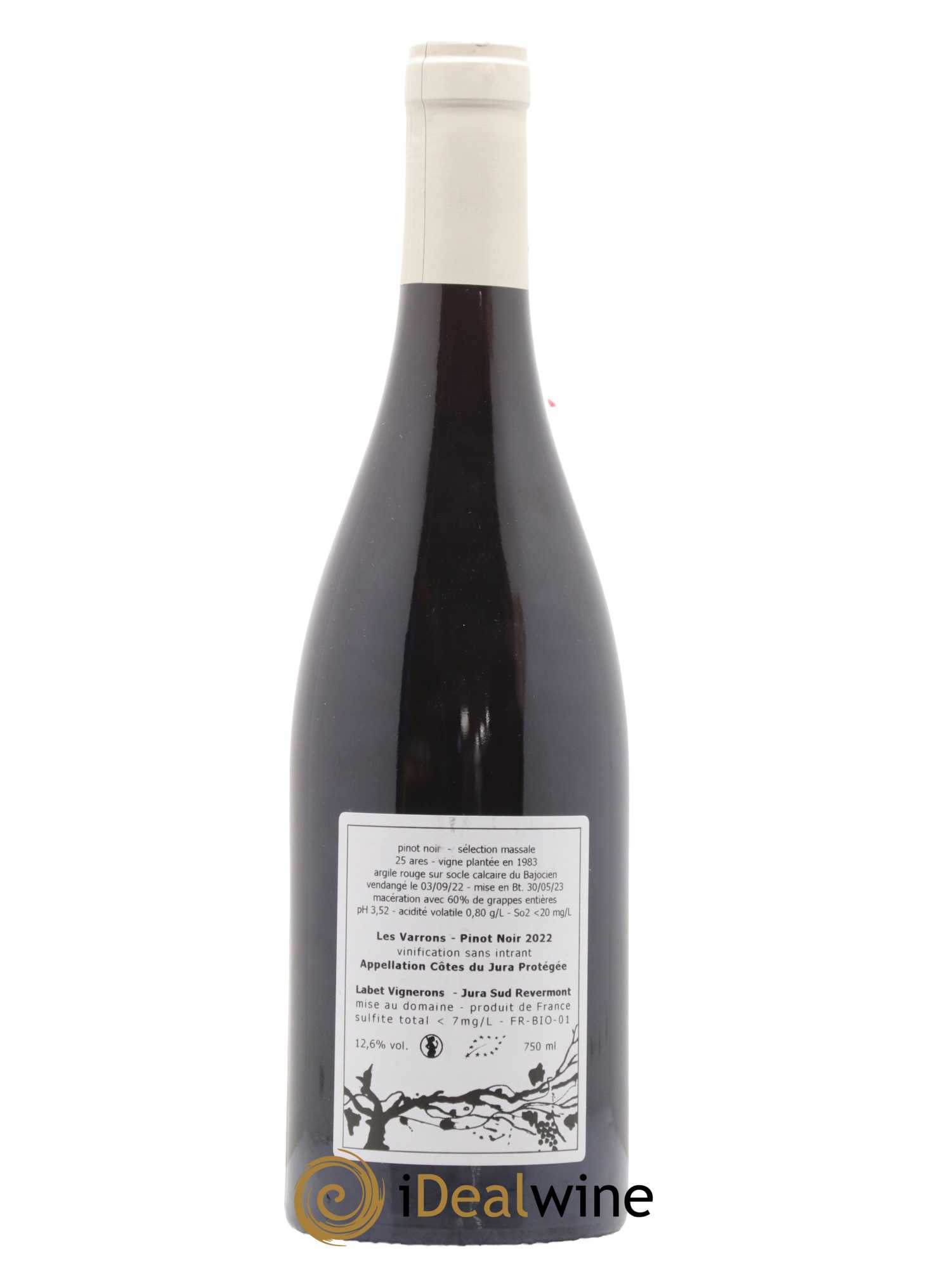 Côtes du Jura Pinot Noir Les Varrons Labet (Domaine) 2022 - Lot de 1 bouteille - 1