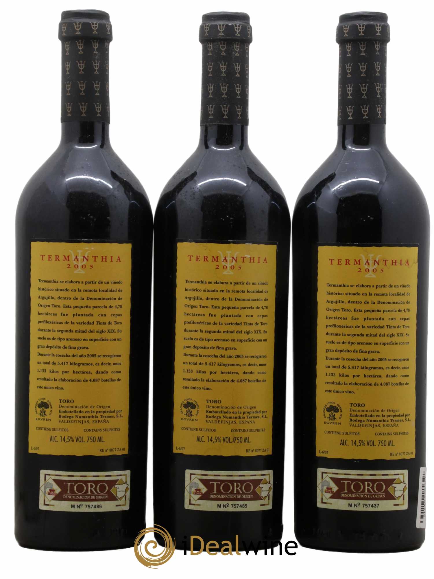 Toro DO Bodega Numanthia Termanthia  2005 - Lot de 3 bouteilles - 1