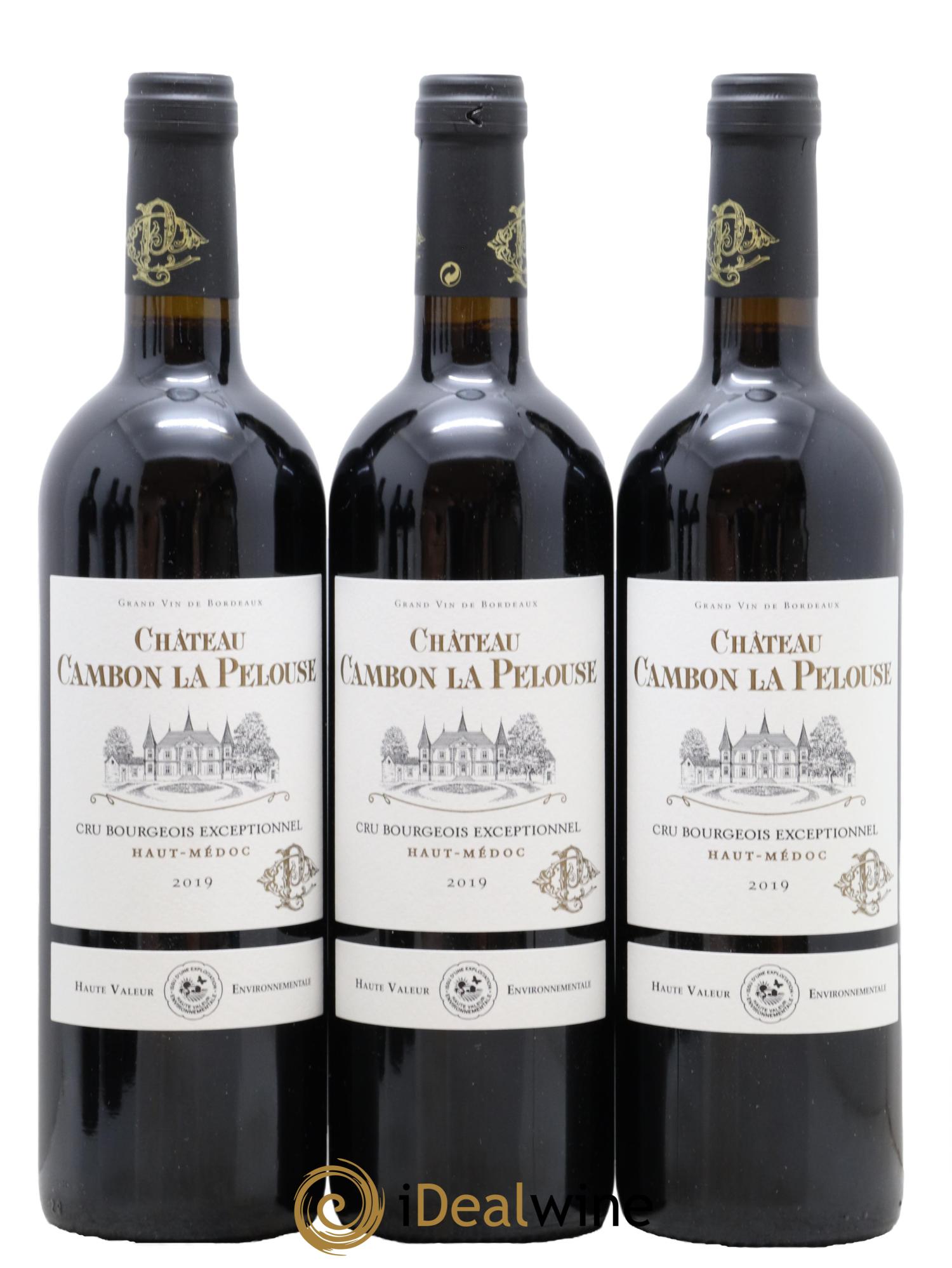 Château Cambon la Pelouse Cru Bourgeois  2019 - Lot of 6 bottles - 1