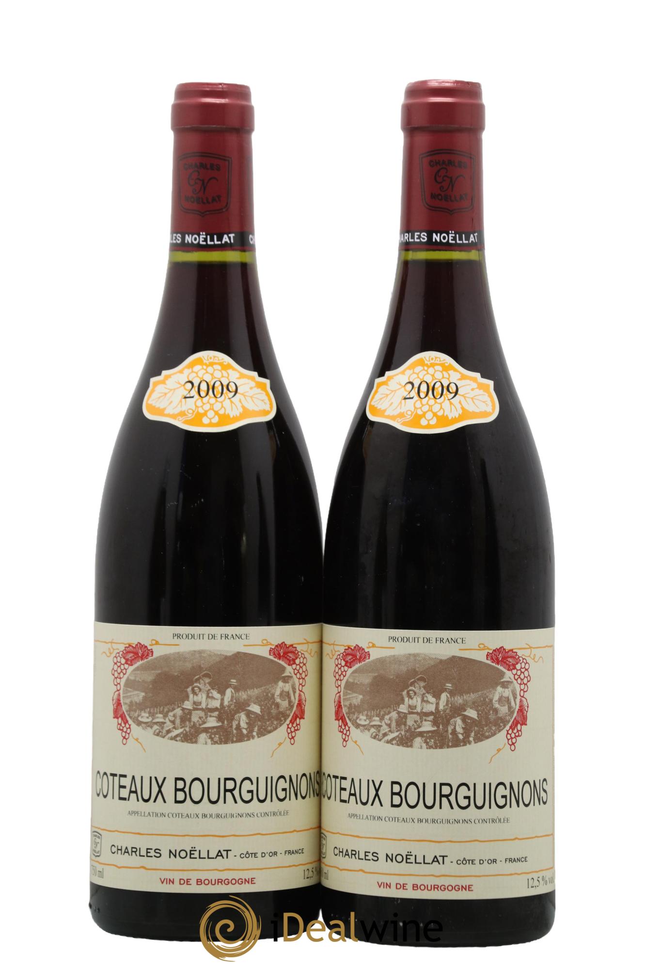 Coteaux Bourguignons Domaine Charles Noellat 2009 - Posten von 2 Flaschen - 0