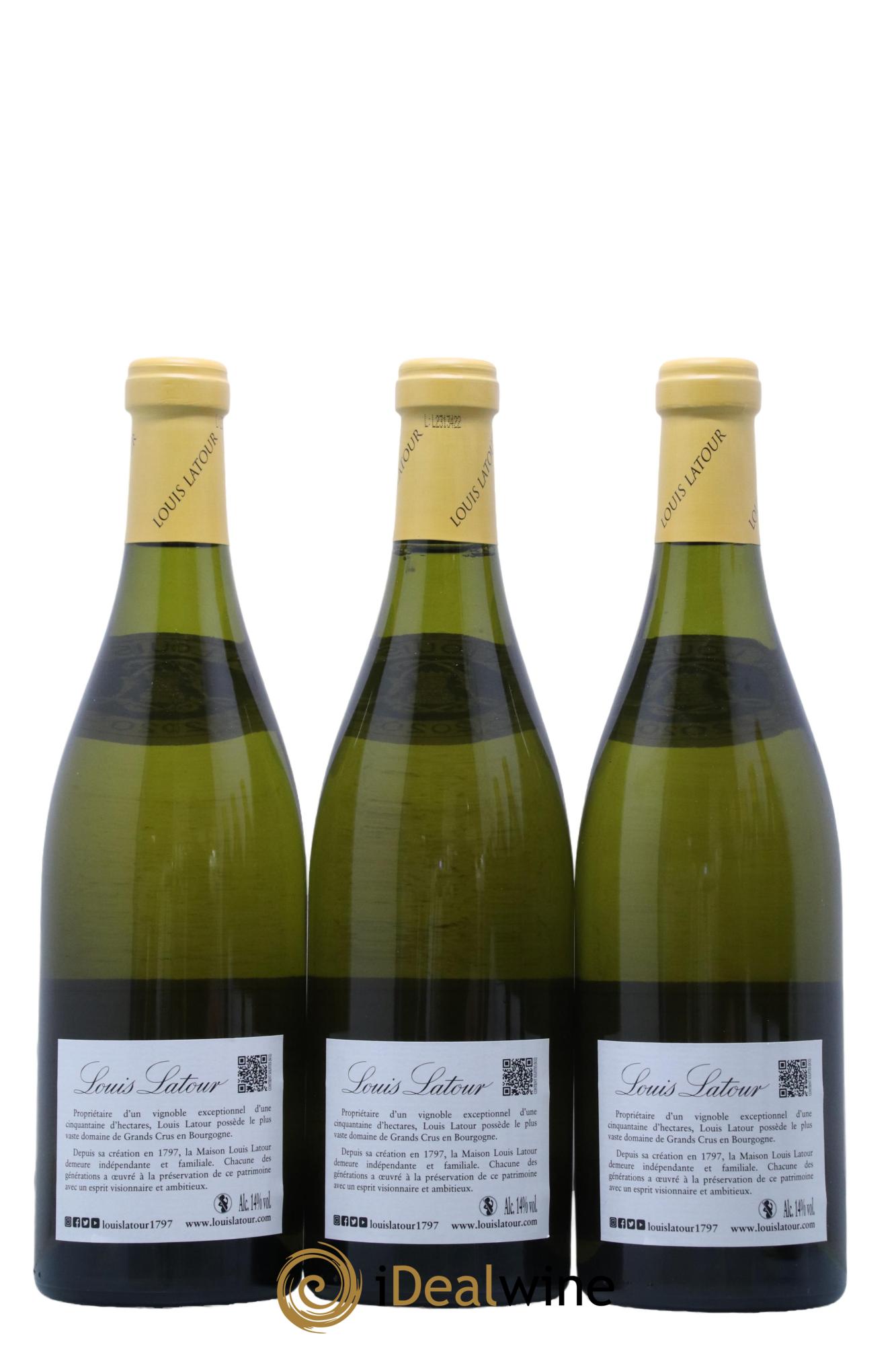 Montrachet Grand Cru Louis Latour 2020 - Lotto di 6 bottiglie - 4