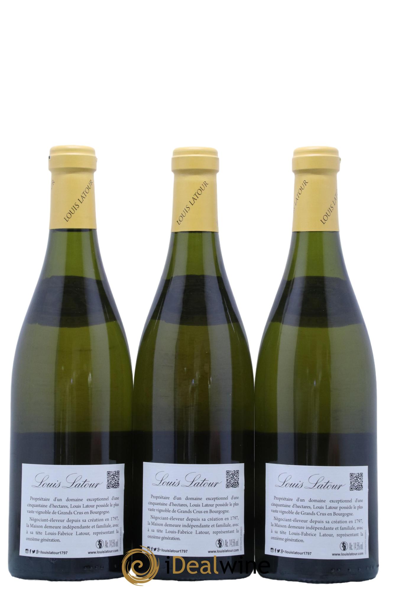 Montrachet Grand Cru Louis Latour 2019 - Lotto di 6 bottiglie - 4