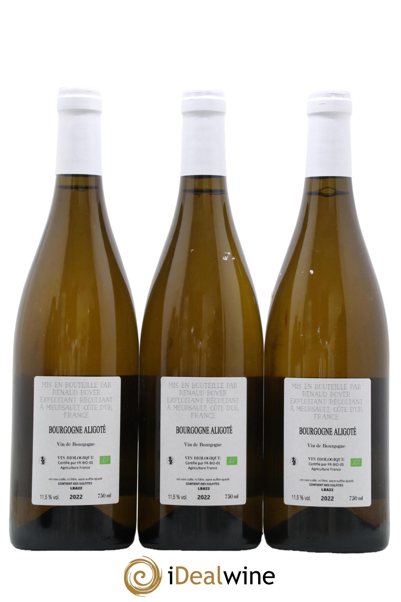 Bourgogne Aligote Renaud Boyer 2022 - Lot of 3 bottles - 1