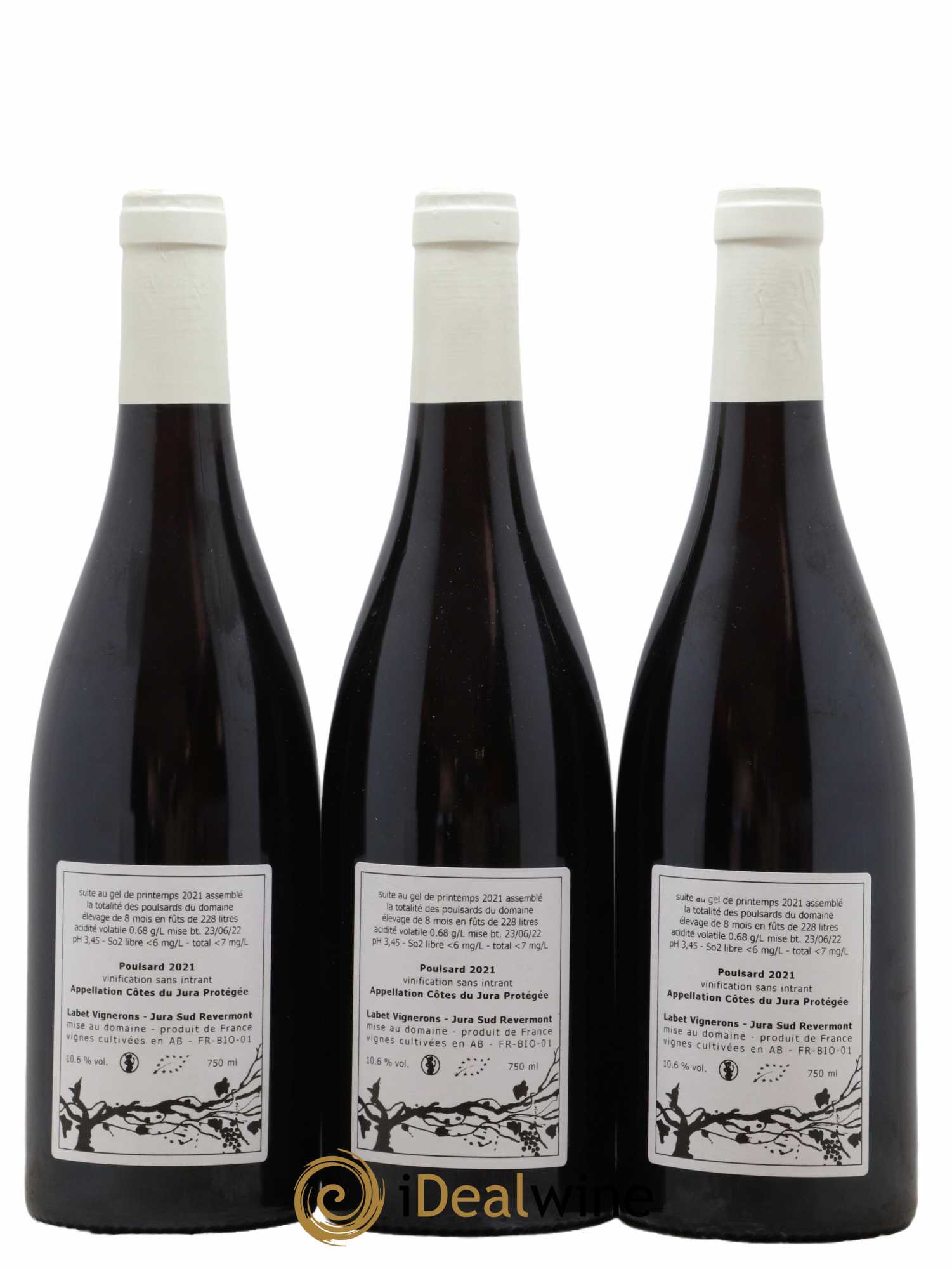 Côtes du Jura 2021 - Lot of 3 bottles - 1