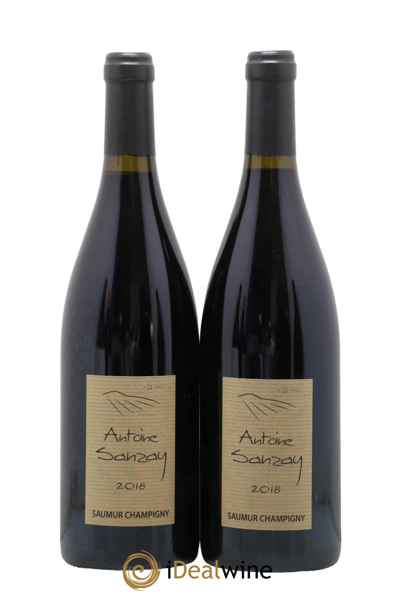 Saumur-Champigny Domaine Antoine Sanzay 2018 - Lot de 2 bouteilles - 0