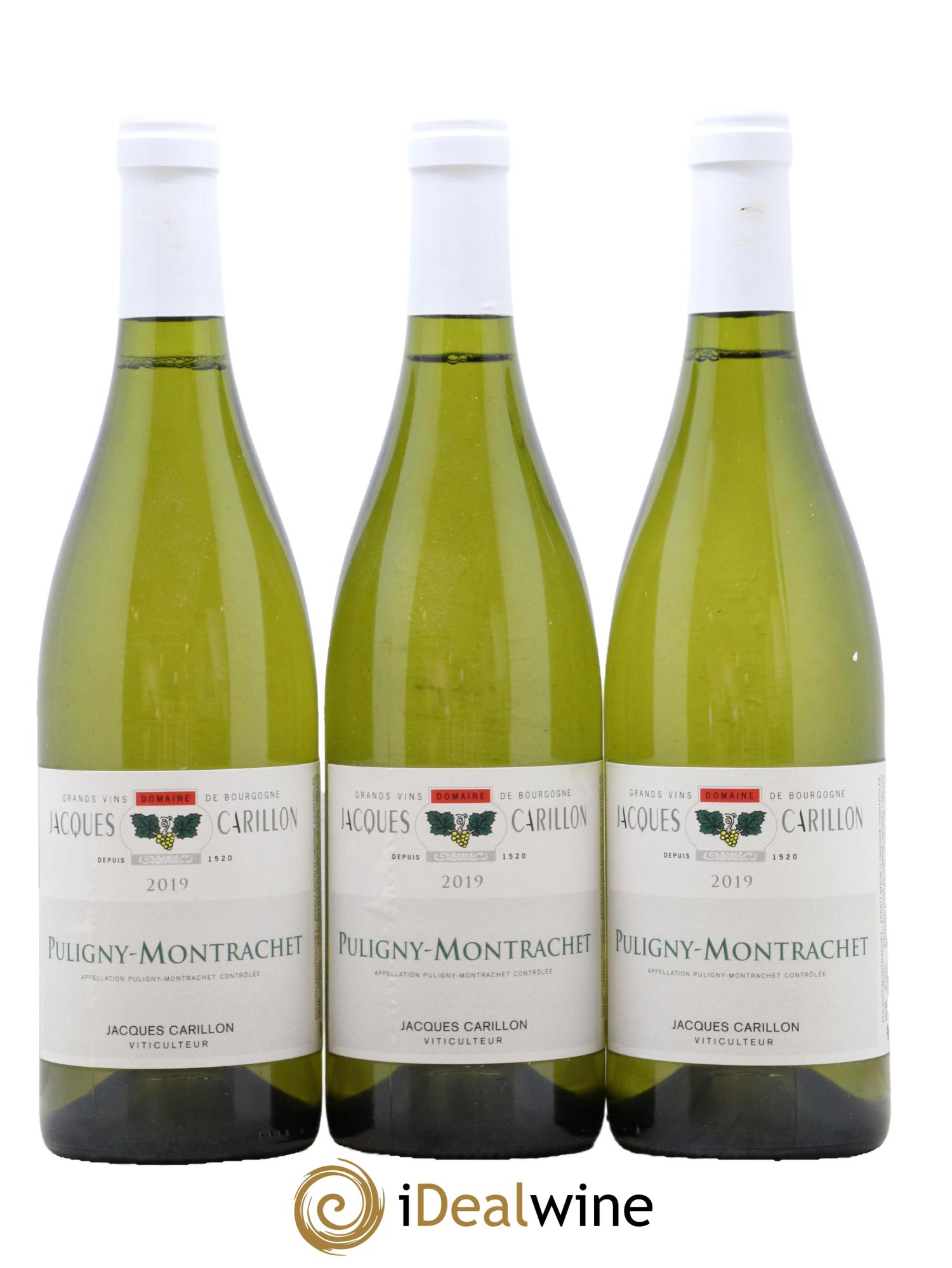 Puligny-Montrachet Jacques Carillon (Domaine) 2019 - Lot of 3 bottles - 0