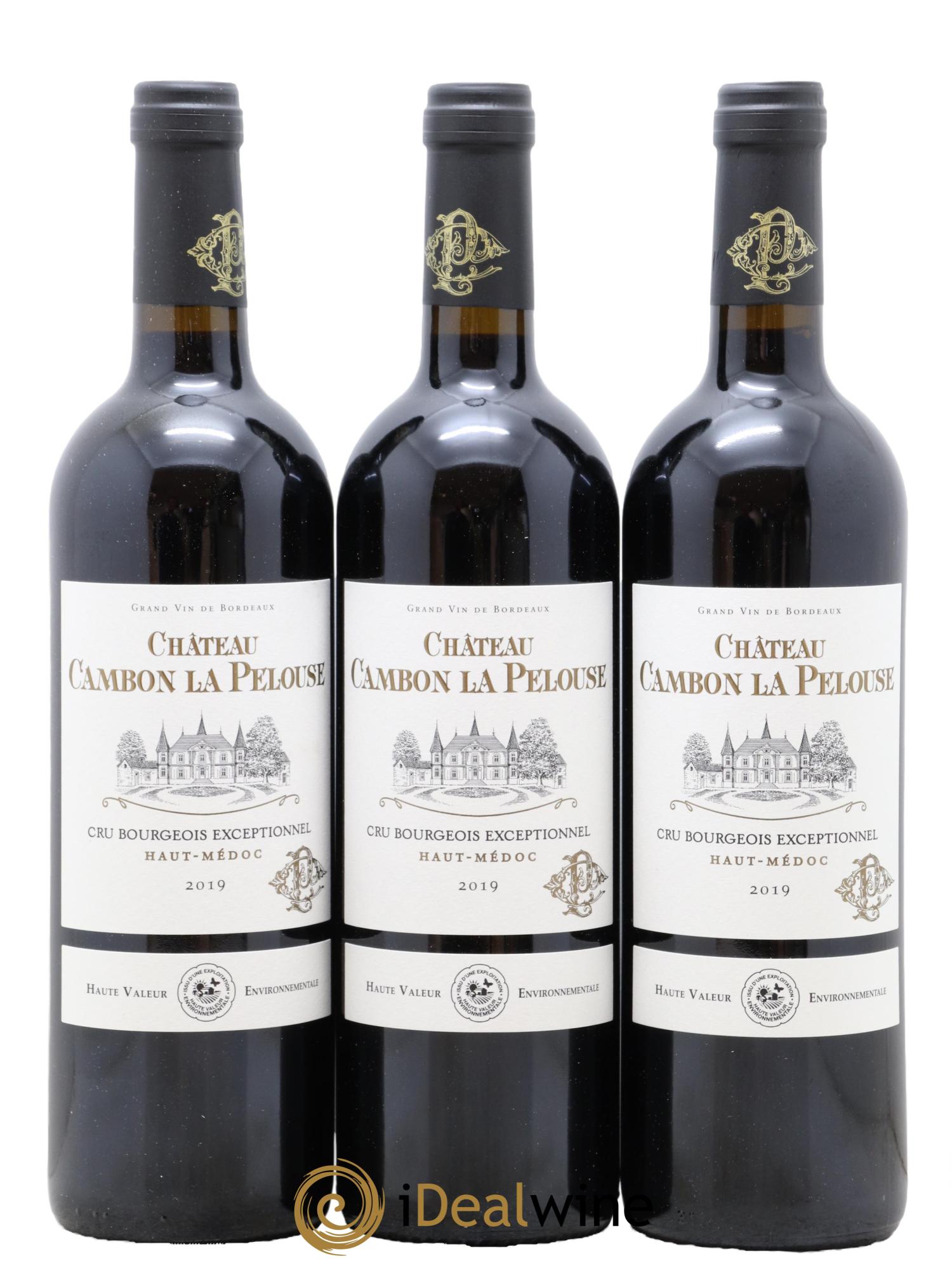 Château Cambon la Pelouse Cru Bourgeois  2019 - Lot de 6 bouteilles - 2