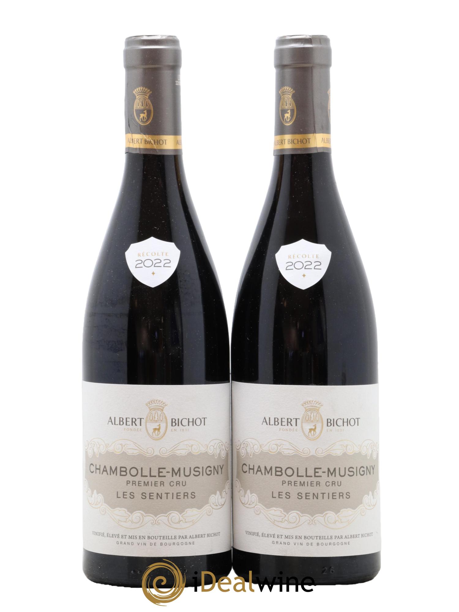 Chambolle-Musigny 1er Cru Les Sentiers Albert Bichot 2022 - Lot of 2 bottles - 0