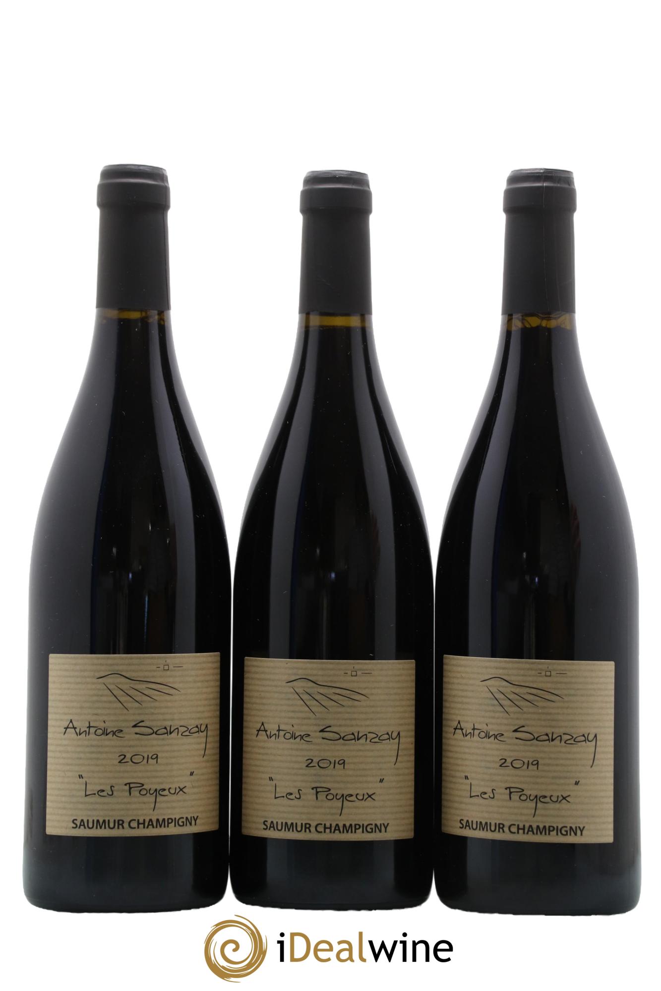 Saumur-Champigny Les Poyeux Antoine Sanzay 2019 - Lot of 3 bottles - 0