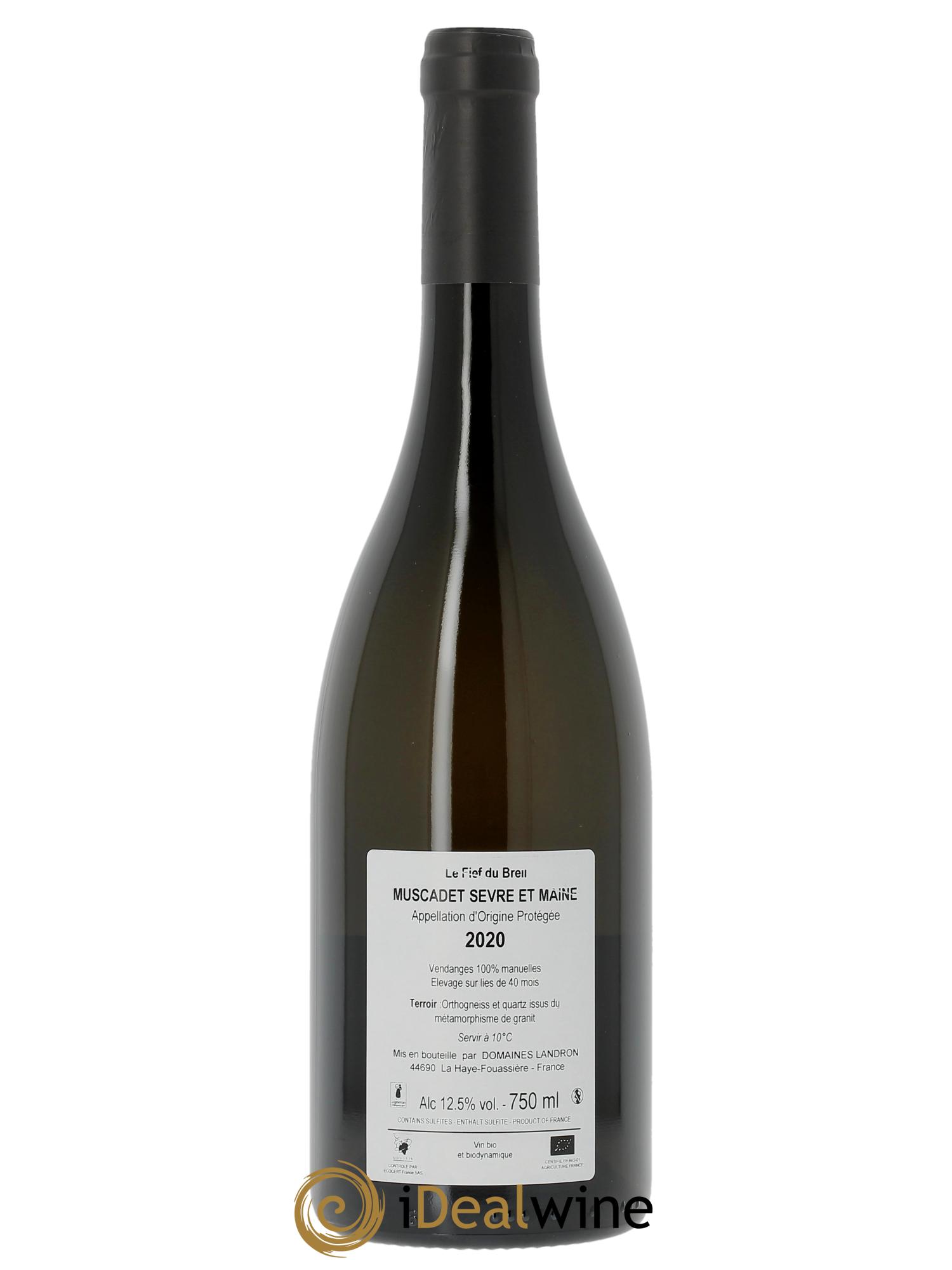 Muscadet-Sèvre-et-Maine Le Fief du Breil Jo Landron  2020 - Lot of 1 bottle - 1