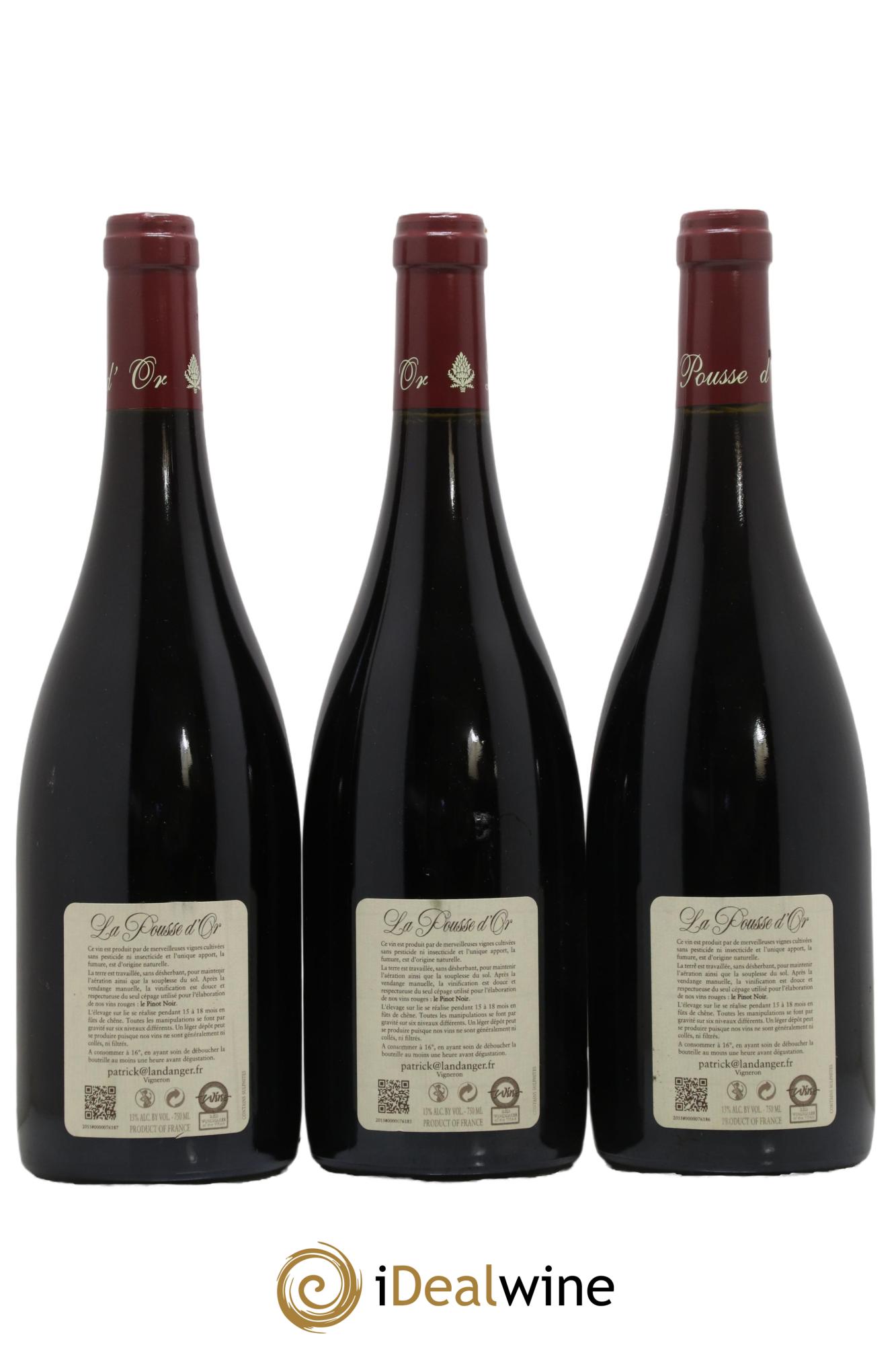 Clos de la Roche Grand Cru La Pousse d'Or (Domaine de) 2013 - Lotto di 3 bottiglie - 1