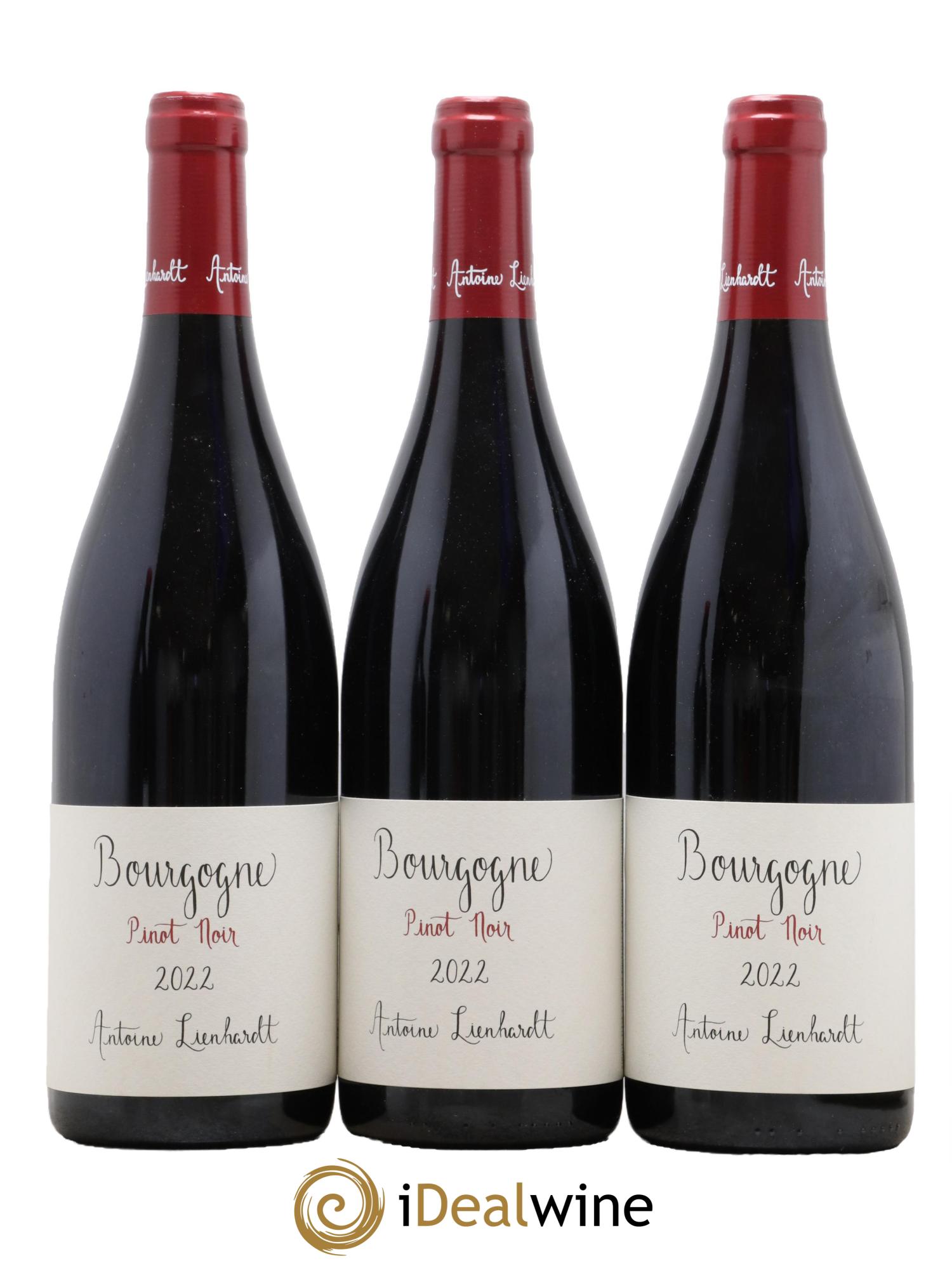 Bourgogne Pinot Noir  Antoine Lienhardt 2022 - Lot de 3 bouteilles - 0