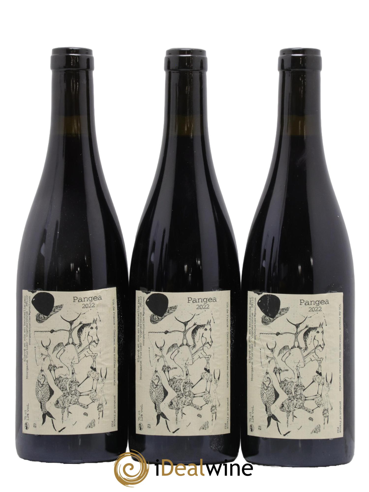 Vin de France Pangea Morgane Turlier 2022 - Lot de 3 bouteilles - 0