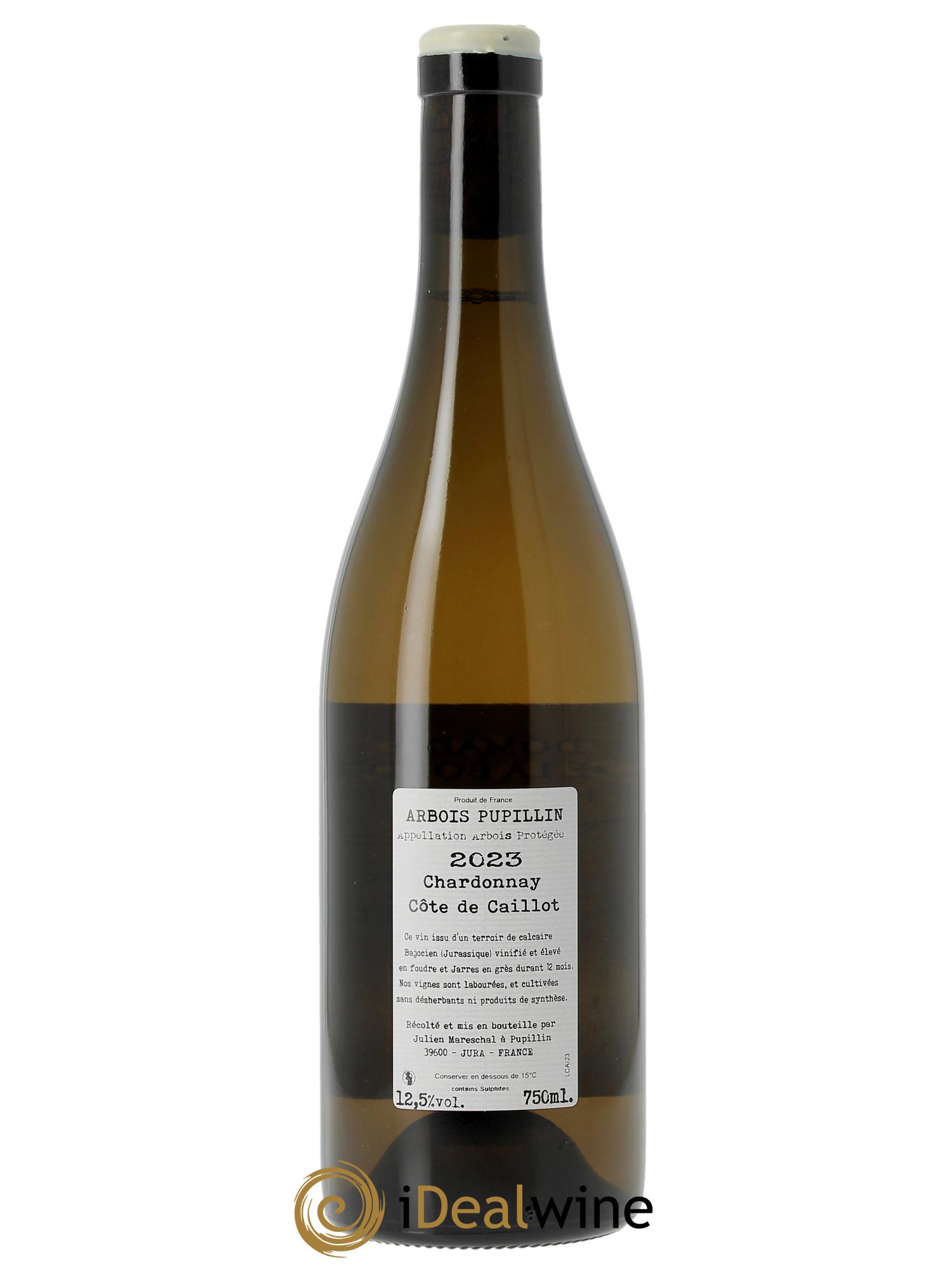 Arbois Pupillin Chardonnay Côte de Caillot Domaine de la Borde  2023 - Lotto di 1 bottiglia - 1