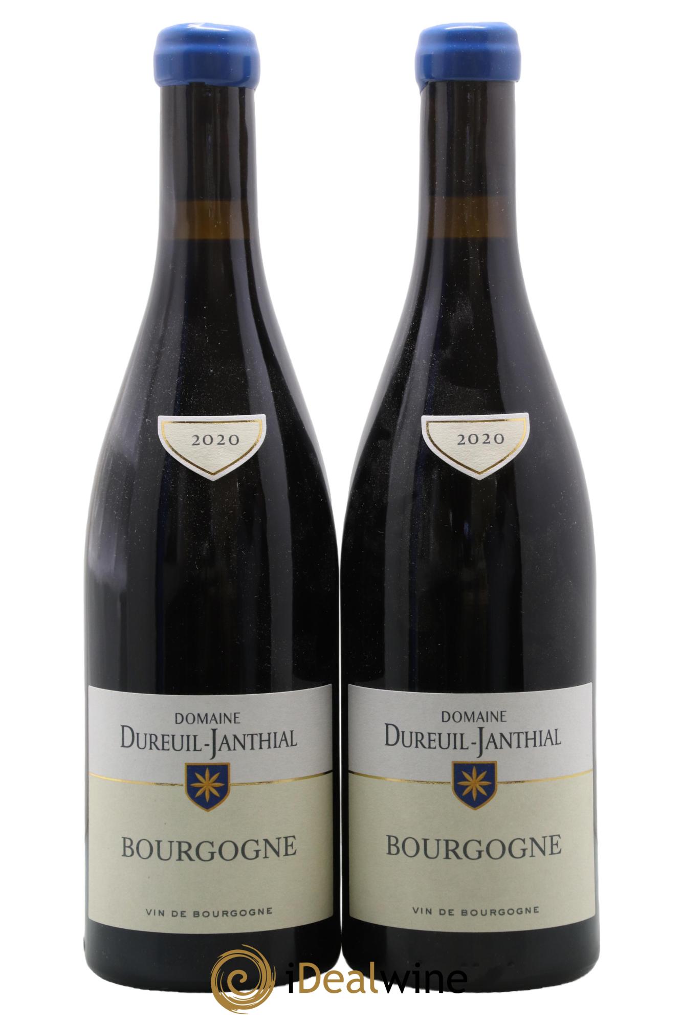 Bourgogne Pinot Noir Vincent Dureuil-Janthial 2020 - Lotto di 2 bottiglie - 0