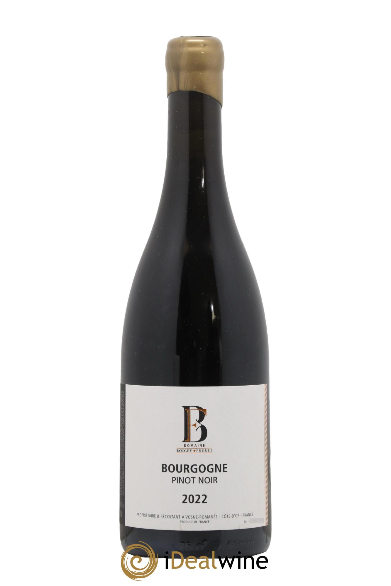 Bourgogne Pinot Noir Domaine Boigey Freres 2022 - Lotto di 1 bottiglia - 0