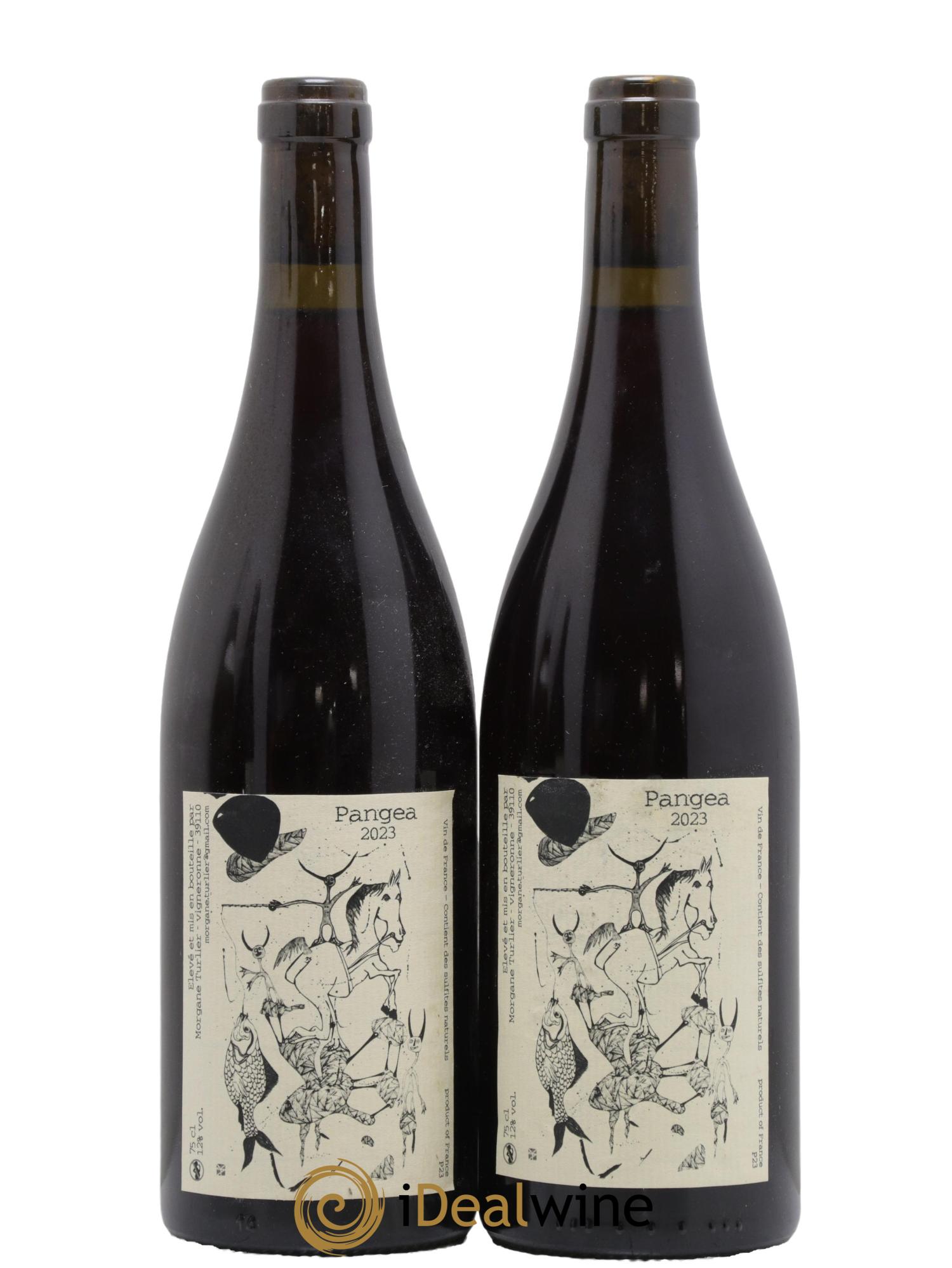 Vin de France Pangea Morgane Turlier 2023 - Lot de 2 bouteilles - 0