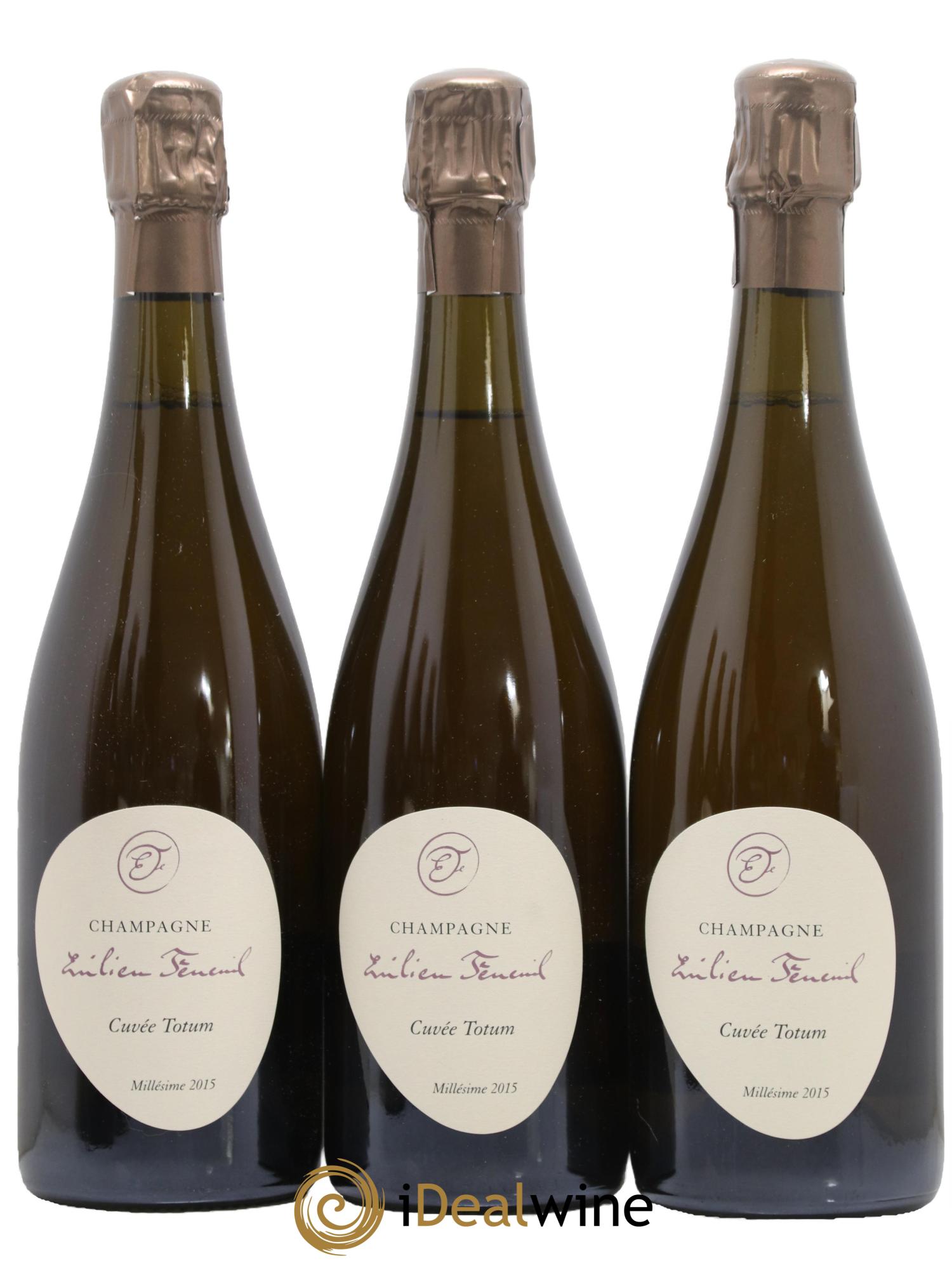 Cuvée Totum Emilien Feneuil 2015 - Lot of 3 bottles - 0