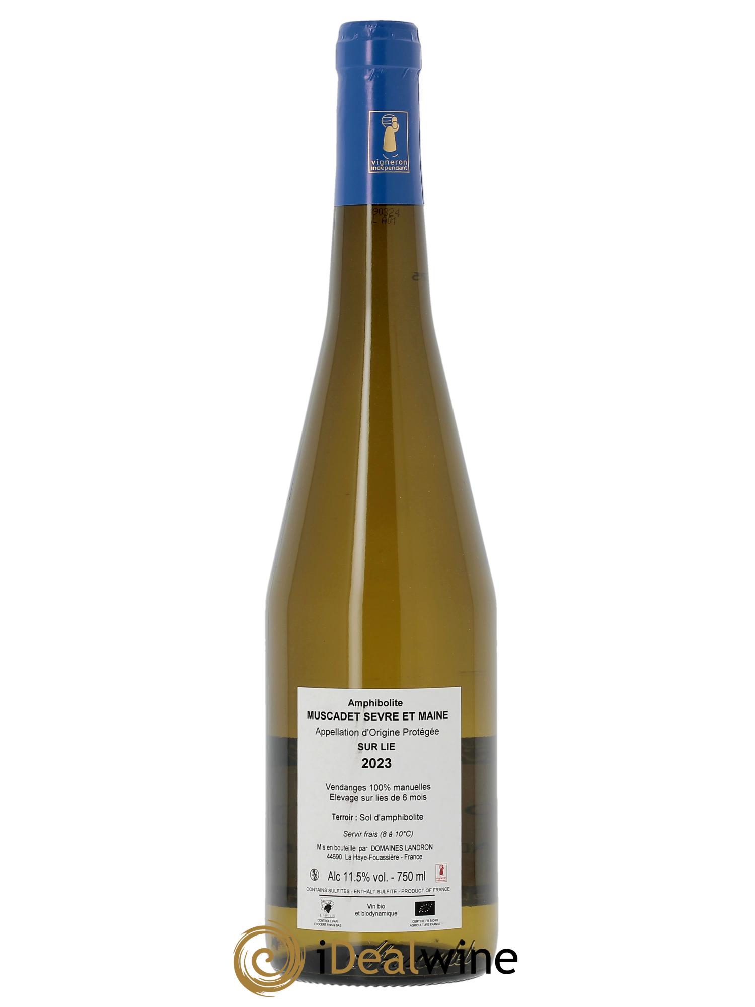 Muscadet-Sèvre-et-Maine Amphibolite Jo Landron  2023 - Lot of 1 bottle - 1