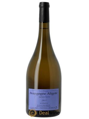 Bourgogne Aligoté Sylvain Pataille (Domaine)