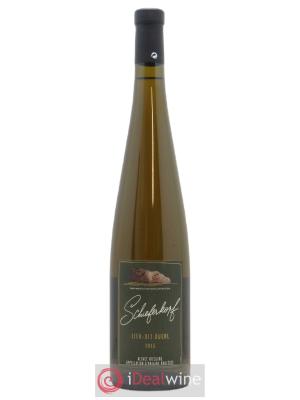 Alsace Riesling Lieu-dit Buehl Schieferkopf - Chapoutier