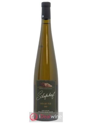 Alsace Riesling Lieu-dit Fels Schieferkopf - Chapoutier 