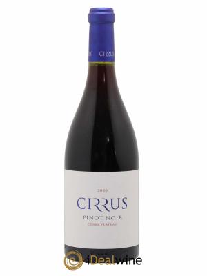 Afrique du Sud Pinot Noir Cirrus Ceres Plateau