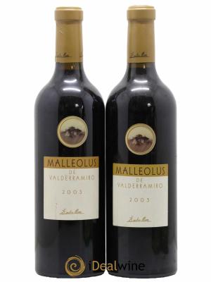 Ribera Del Duero DO Malleolus de Valderramiro Emilio Moro