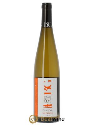 Alsace Pinot Gris Les Eléments Bott-Geyl (Domaine)  