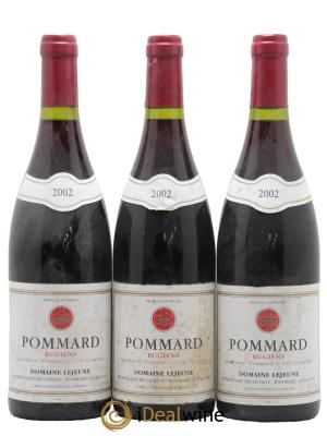 Pommard 1er Cru Rugiens Domaine Lejeune