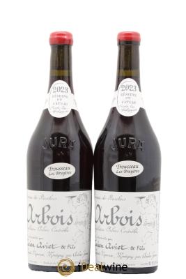 Arbois Trousseau Les Bruyères Cuvée des Géologues Lucien Aviet (Domaine)