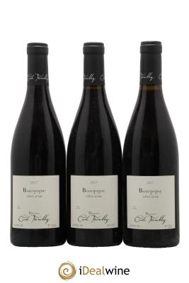 Bourgogne Côte d'Or Cécile Tremblay