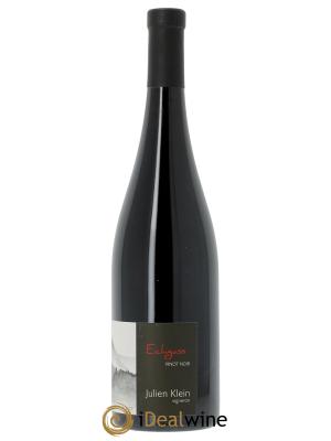 Alsace Pinot noir Eichgass Julien Klein 