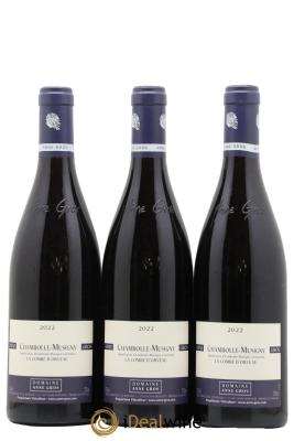 Chambolle-Musigny La Combe d'Orveau Anne Gros