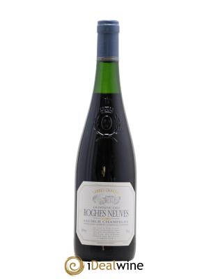 Saumur-Champigny Terres Chaudes Domaine Des Roches Neuves Denis Duveau