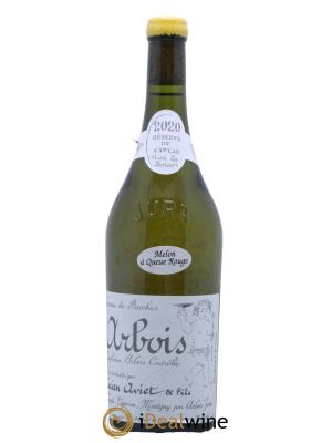 Arbois Melon à Queue Rouge Cuvée des Docteurs Lucien Aviet (Domaine)