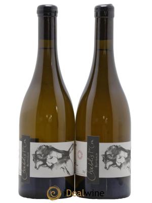 Chablis 1er Cru Butteaux Pattes Loup (Domaine)