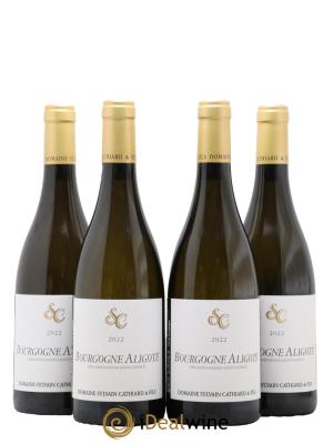 Bourgogne Aligoté Sylvain Cathiard & Fils