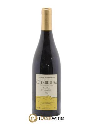 Côtes du Jura Pinot Noir Les Lumachelles Cavarodes (Domaine des) - Etienne Thiébaud