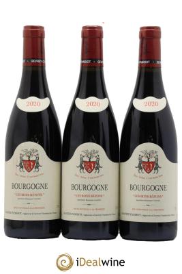 Bourgogne Les Bons Batons Domaine Geantet Pansiot