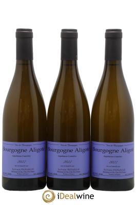 Bourgogne Aligoté Sylvain Pataille (Domaine)