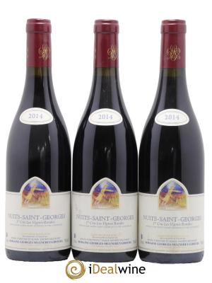 Nuits Saint-Georges 1er Cru Les Vignes Rondes Mugneret-Gibourg (Domaine)