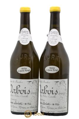 Arbois Melon à Queue Rouge Cuvée des Docteurs Lucien Aviet (Domaine)