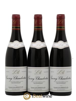 Gevrey-Chambertin Les Evocelles Lucien Boillot & Fils (Domaine)