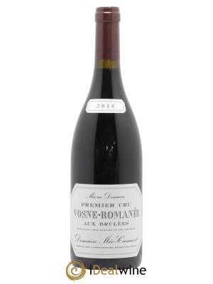 Vosne-Romanée 1er Cru Aux Brûlées Méo-Camuzet (Domaine)