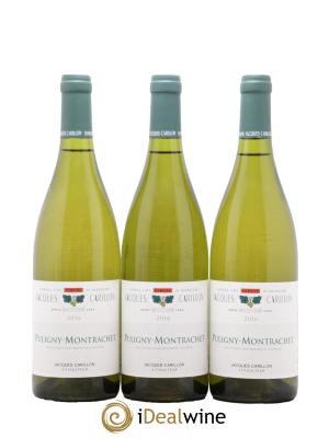 Puligny-Montrachet Jacques Carillon (Domaine)