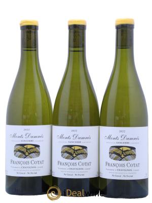 Sancerre Les Monts Damnés François Cotat 