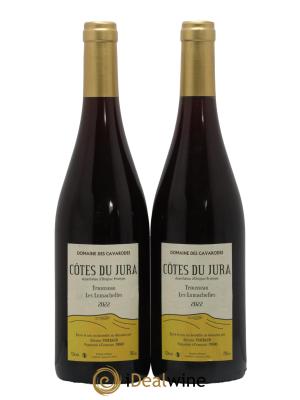 Côtes du Jura Trousseau Les Lumachelles Cavarodes (Domaine des) - Etienne Thiébaud